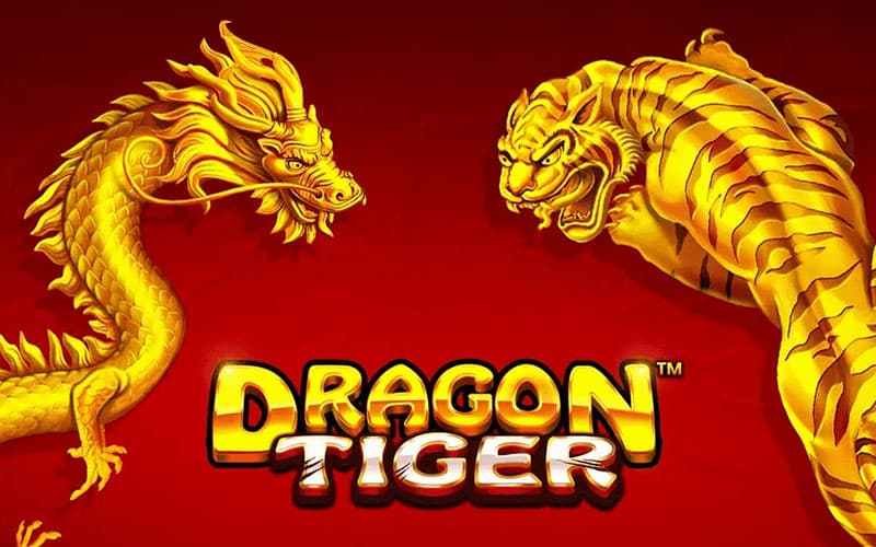 dragon tiger