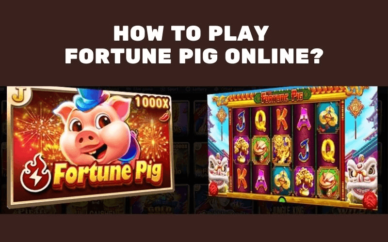 fortune pig slot